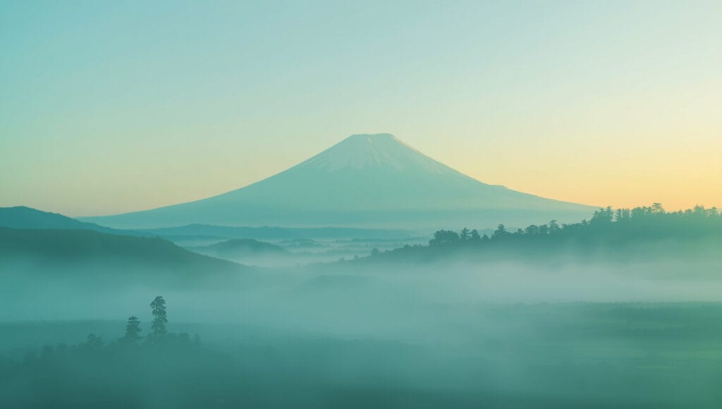 Zolnet Acupunctuur Arnhem Logo